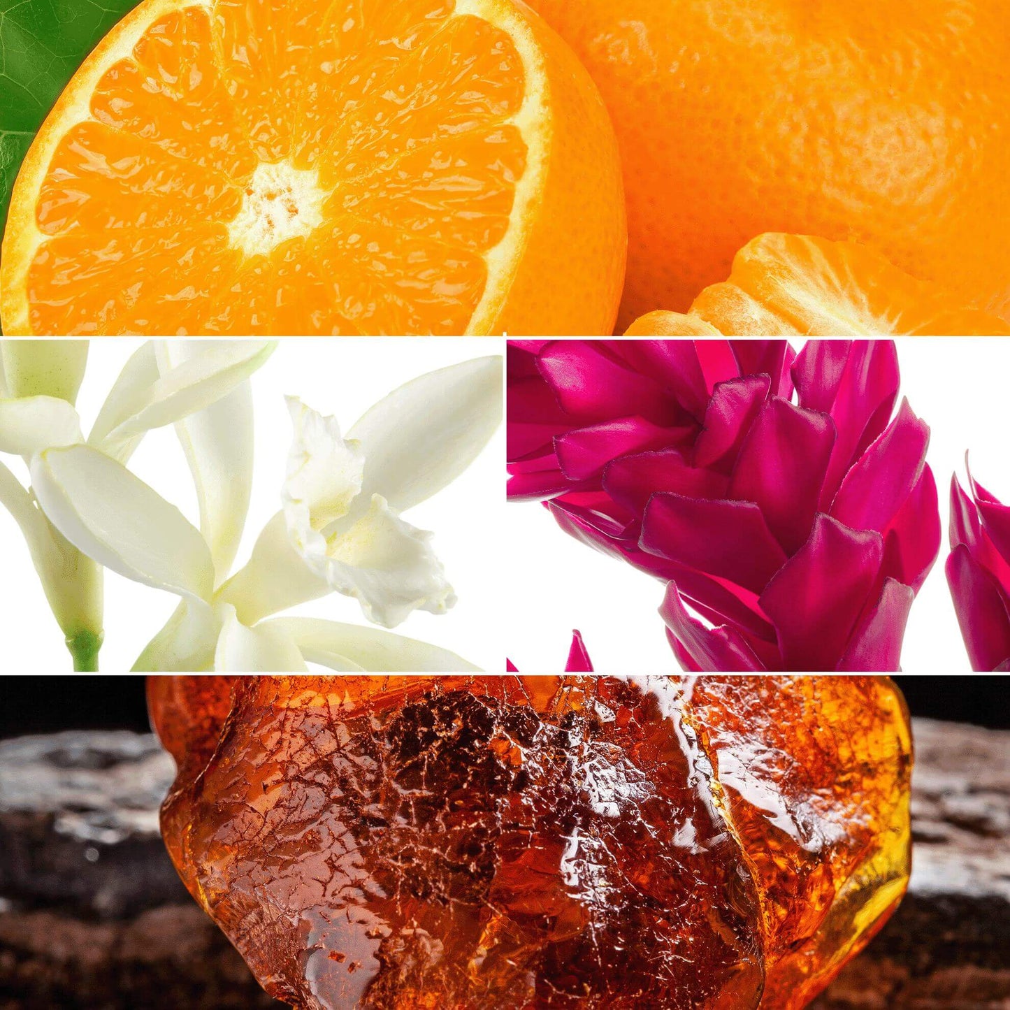 All or Nothing Amplified Parfum