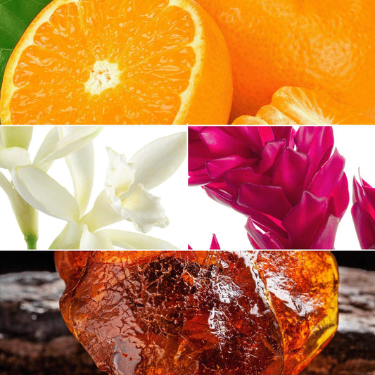 All or Nothing Amplified Parfum