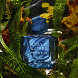 Nordic Waters Infinite Blue for Him Eau de Parfum Perfume